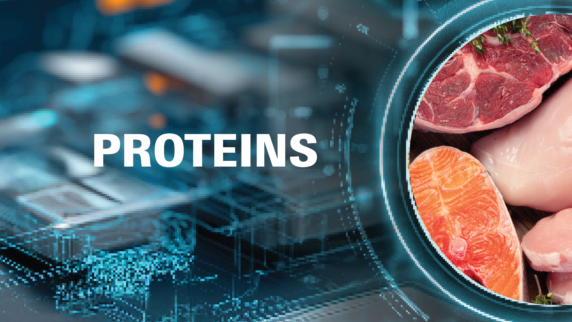 PROTEINS